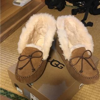 アグ(UGG)のアグ アレーナ 新品(スリッポン/モカシン)