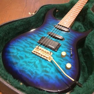 フェルナンデス(Fernandes)の※Rio様専用※【生産終了モデル】 FERNANDES FGZ-420　SBG(エレキギター)