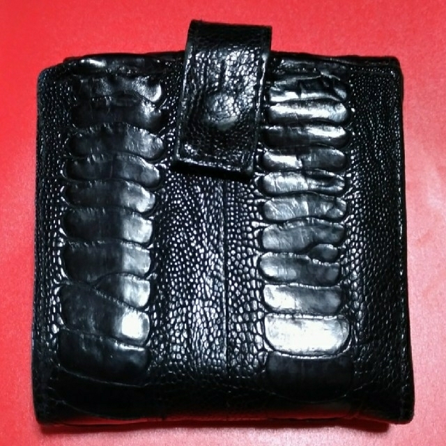 GALLARDA GALANTE(ガリャルダガランテ)のR&Y AUGOUSTI ガリャルダガランテ 　本物ワニ革☓スティングレイ財布 レディースのファッション小物(財布)の商品写真