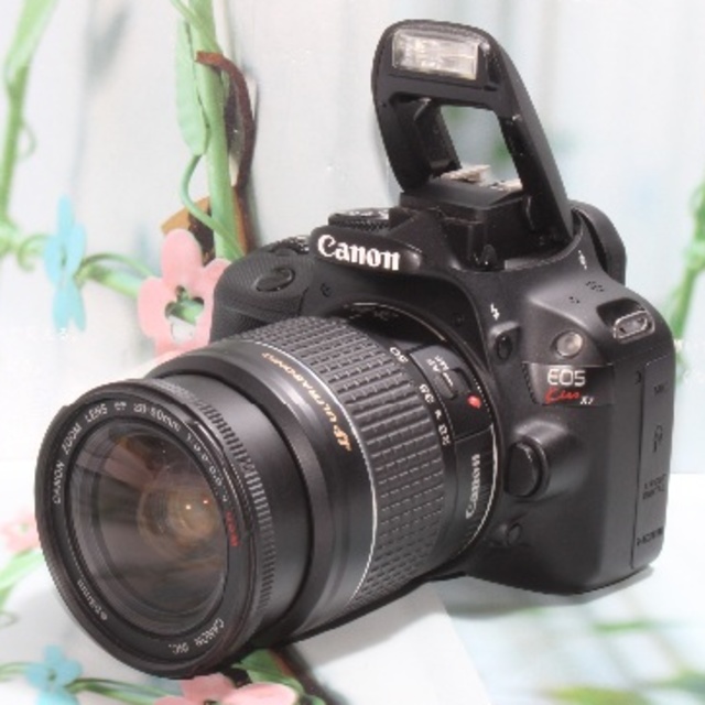 Canon - ❤️やっぱりEOSが一番だ❤️CANON EOS KISS X7❤️
