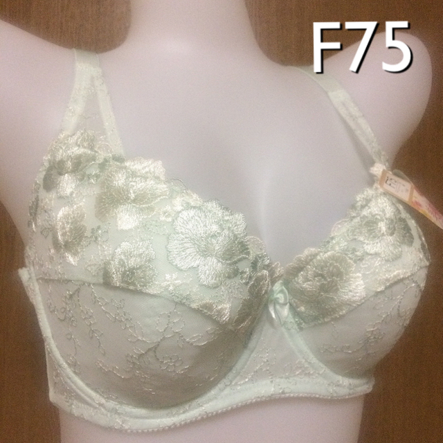 美胸 ブラジャー F75  グリーン他 レディースの下着/アンダーウェア(ブラ)の商品写真