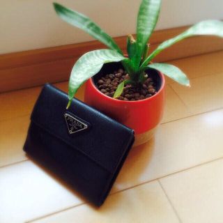 プラダ(PRADA)の★値段交渉可！★PRADAのお財布(財布)