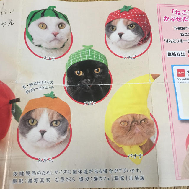 ねこのかぶりもの メロン その他のペット用品(猫)の商品写真