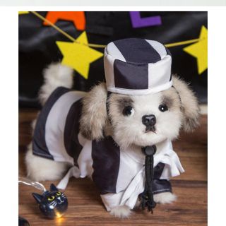 スリーコインズ(3COINS)のペット用♡コスプレ♡囚人服(犬)