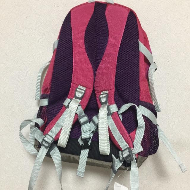 MILLET(ミレー)のミレー リュック 新品 ピンク レディースのバッグ(ショルダーバッグ)の商品写真