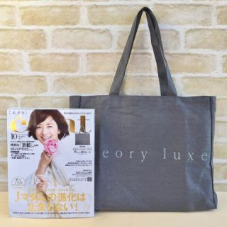 セオリーリュクス(Theory luxe)のeclat エクラ 10月号 付録(ファッション)