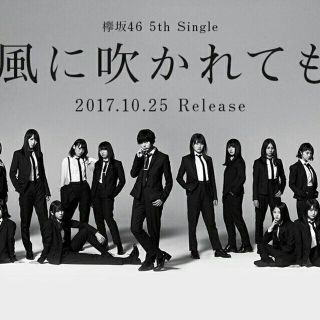 ケヤキザカフォーティーシックス(欅坂46(けやき坂46))のミー様専用(その他)