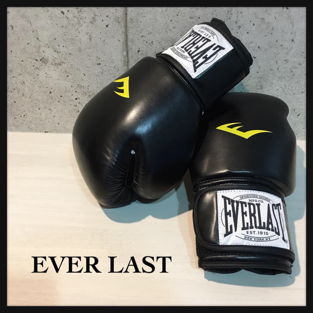 EVERLAST(エバーラスト)の美品♡EVER LAST♡ボクシンググローブ16oz スポーツ/アウトドアのスポーツ/アウトドア その他(ボクシング)の商品写真