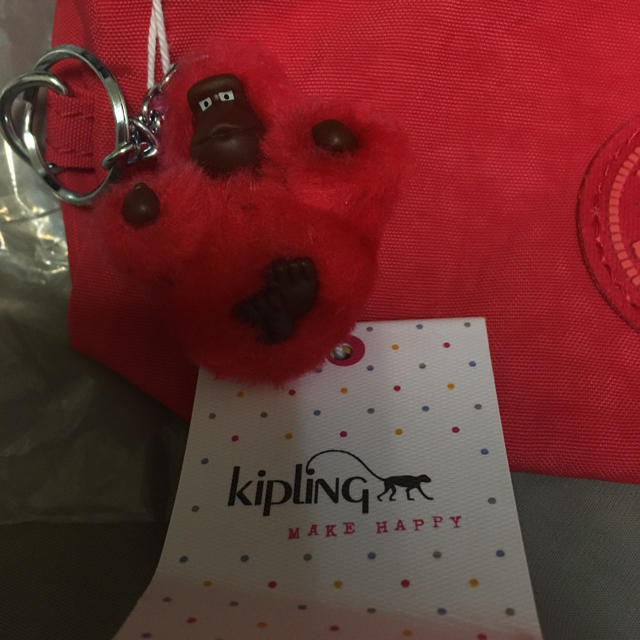 kipling(キプリング)のkipling レディースのファッション小物(ポーチ)の商品写真