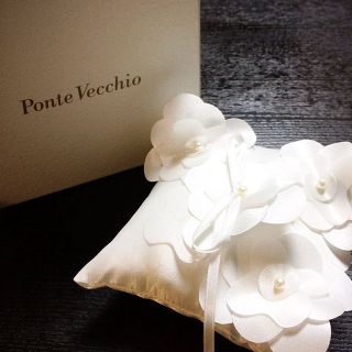 ポンテヴェキオ(PonteVecchio)の新品未使用☆Ponte Vecchio リングピロー(その他)