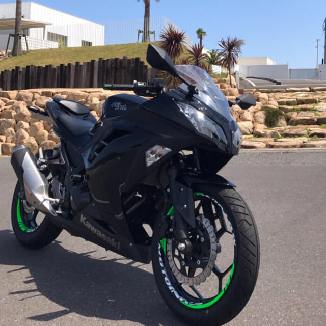 カワサキ(カワサキ)の【るい様専用価格】ninja250 自動車/バイクのバイク(車体)の商品写真