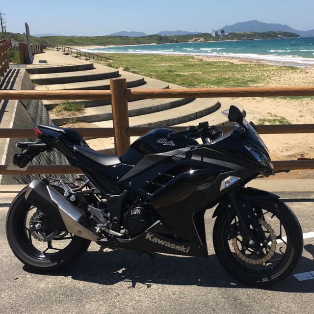 カワサキ(カワサキ)の【るい様専用価格】ninja250 自動車/バイクのバイク(車体)の商品写真