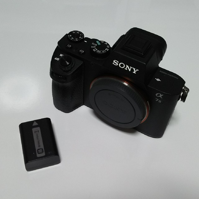 人気No.1】 SONY - 専用 SONY α7ii α7m2 ボディ ミラーレス一眼 - pann.nl