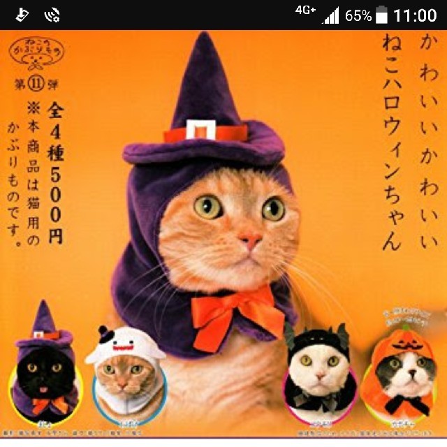 ハロウィン その他のペット用品(猫)の商品写真