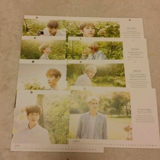 ネイチャーリパブリック(NATURE REPUBLIC)のEXO カレンダー 非売品 限定オマケ(アイドルグッズ)