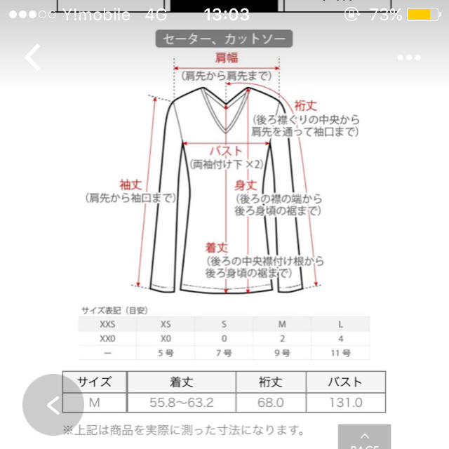 PLST(プラステ)の値下げ！PLSTドルマンプルオーバー レディースのトップス(その他)の商品写真