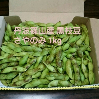 丹波篠山産 黒枝豆 １キロ さやのみ(野菜)