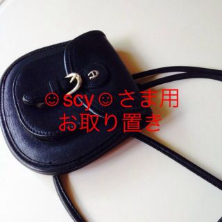 アイグナー(AIGNER)の最終値下げ!  アイグナー本革 ポーチ (ショルダーバッグ)