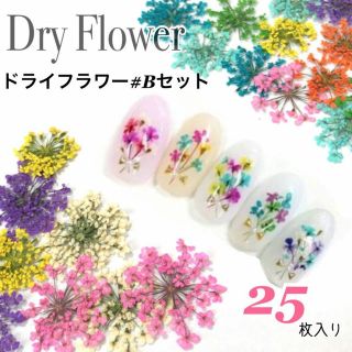 小花 レースドライフラワーセット 押し花　ネイル　レジン(デコパーツ)