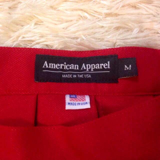 American Apparel(アメリカンアパレル)のAmerican Apparelスカート レディースのスカート(ミニスカート)の商品写真