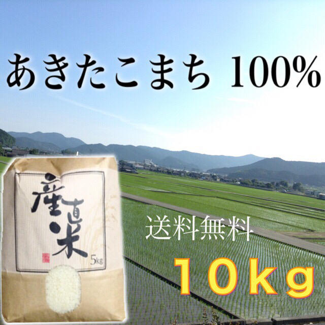 【すずらん様専用】愛媛県産あきたこまち１００%   １０ｋｇ   農家直送 食品/飲料/酒の食品(米/穀物)の商品写真