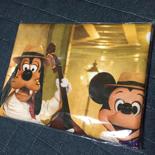 Disney ディズニーリゾート完売 イマジニング ミッキー実写 バスタオルの通販 By Mさん S Shop ディズニーならラクマ