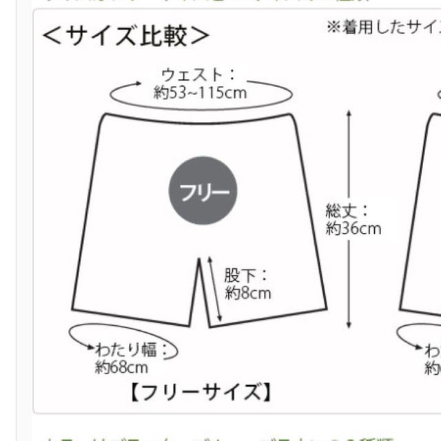 ペーパートランクス フリーサイズ インテリア/住まい/日用品の日用品/生活雑貨/旅行(防災関連グッズ)の商品写真