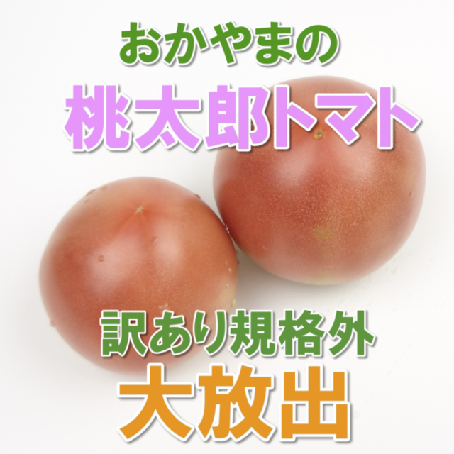 訳あり規格外品 岡山県びほくエリア産 桃太郎トマト 2kg 食品/飲料/酒の食品(野菜)の商品写真