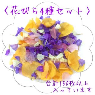 〈花びら4種②〉スターチス・薔薇・紫陽花*ドライフラワー プリザーブドフラワー(ドライフラワー)