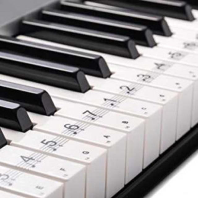 ピアノ 用 88鍵盤 音符 シール ステッカー　初心者にピッタリ！ 楽器の鍵盤楽器(ピアノ)の商品写真