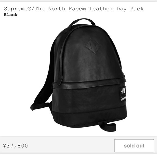 Supreme(シュプリーム)のsupreme The North Face Leather DayPac メンズのバッグ(バッグパック/リュック)の商品写真