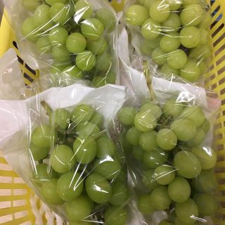 シャインマスカット 家庭用 1キロの通販 by マルシェ's shop|ラクマ