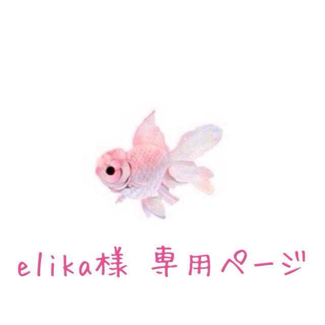 e1ika様 専用ページ コスメ/美容のボディケア(その他)の商品写真