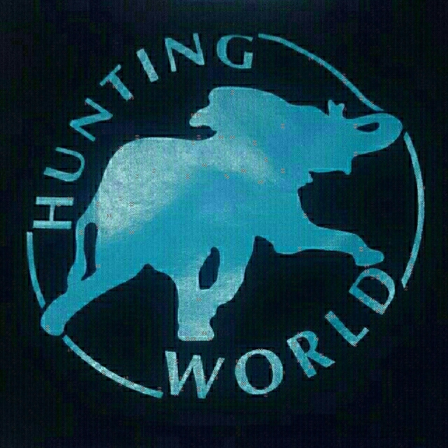 HUNTING WORLD(ハンティングワールド)の※※bkm99881様 専用※※【HUNTING WORLD】ショルダーバッグ レディースのバッグ(ショルダーバッグ)の商品写真