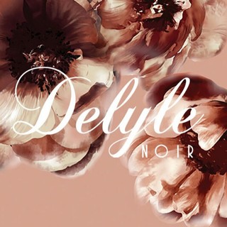 デイライルノアール(Delyle NOIR)の♡ゆちゃ様専用♡11月3日まで♡(セット/コーデ)