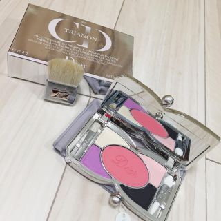 クリスチャンディオール(Christian Dior)の新品 Dior メイクパレット(チーク)