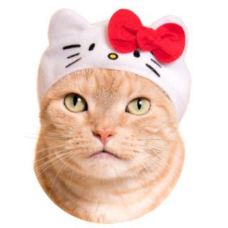 サンリオ(サンリオ)のかわいいかわいいねこのかぶりもの サンリオガチャガチャ 猫②(猫)