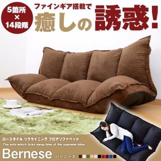 はるぽん様専用ページ　Bernese【バーニーズ】　ブラウン(ソファベッド)