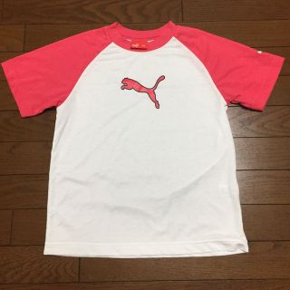 プーマ(PUMA)のPUMA  Tシャツ  140㎝(Tシャツ/カットソー)