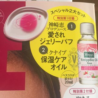 コウダンシャ(講談社)のVoCE  12月号  付録♡(その他)