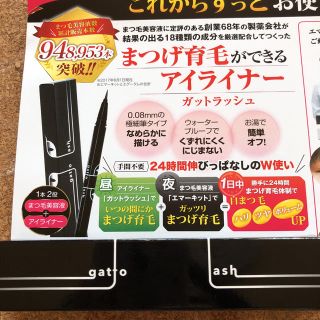 ミズハシホジュドウセイヤク(水橋保寿堂製薬)のまつ毛育毛アイライナー☆gatto lash☆新品(アイライナー)