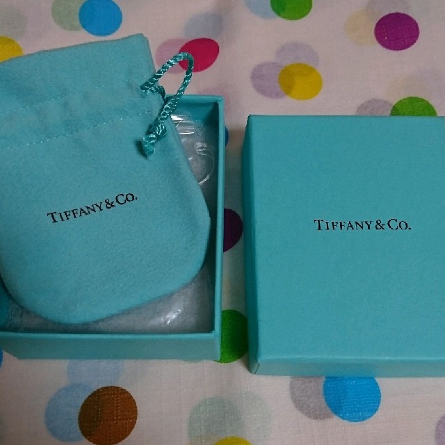 Tiffany & Co.(ティファニー)のティファニー バイザヤードネックレス レディースのアクセサリー(ネックレス)の商品写真