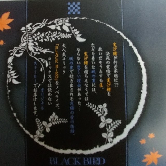 ブラックバード 小説 ノベライズ の通販 By Ttt ラクマ ブラックバード 小説 ノベライズ の通販 By Ttt ラクマ