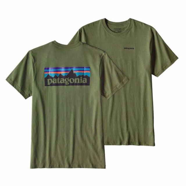 patagonia(パタゴニア)のパタゴニア Tシャツ patagonia メンズのトップス(その他)の商品写真