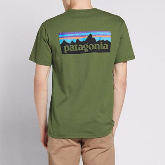 patagonia(パタゴニア)のパタゴニア Tシャツ patagonia メンズのトップス(その他)の商品写真