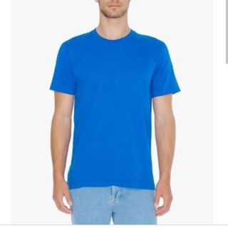 アメリカンアパレル(American Apparel)のアメリカンアパレルTシャツ(その他)