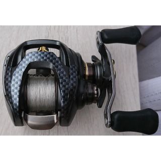 ダイワ(DAIWA)の【たつろう様専用】STEEZ SV TW 1016SV-H スプール無(その他)