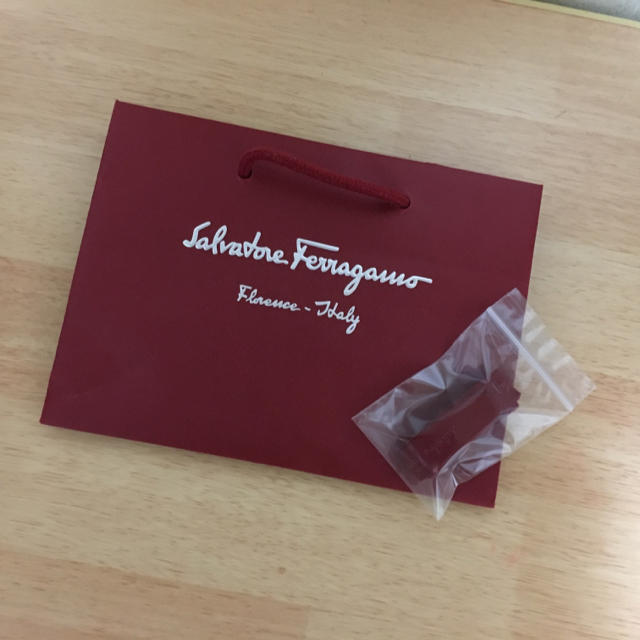 Salvatore Ferragamo(サルヴァトーレフェラガモ)のSalvatore Ferragamo ショッピングバック(リボン付き) レディースのバッグ(ショップ袋)の商品写真