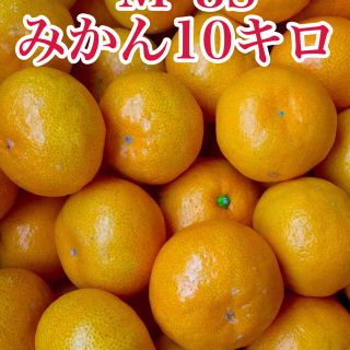 熊本産◇極早みかん　家庭用　約10キロ　M～3Sサイズ (フルーツ)