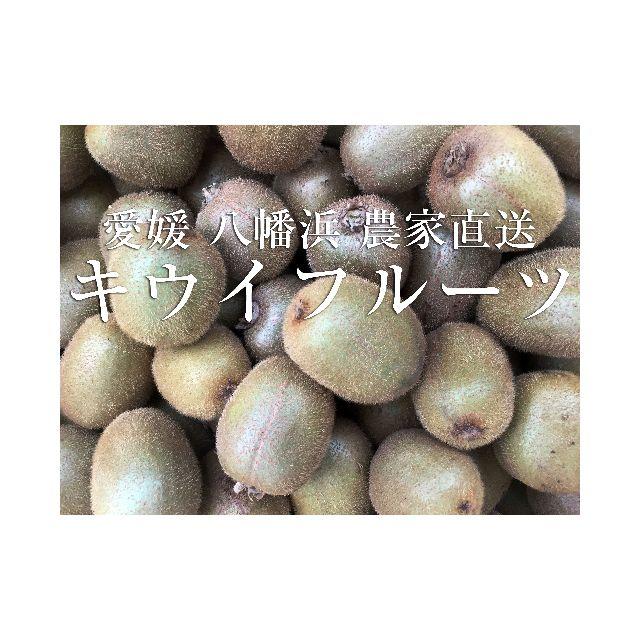 愛媛県八幡浜産 採れたてキウイフルーツ 5kg 食品/飲料/酒の食品(フルーツ)の商品写真